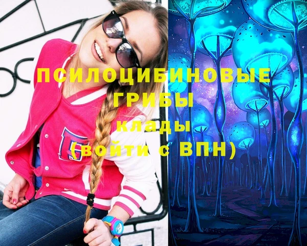 эйфоретик Арсеньев