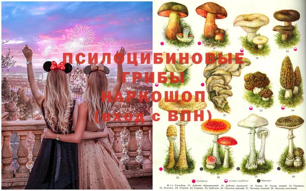 кокаин перу Аркадак