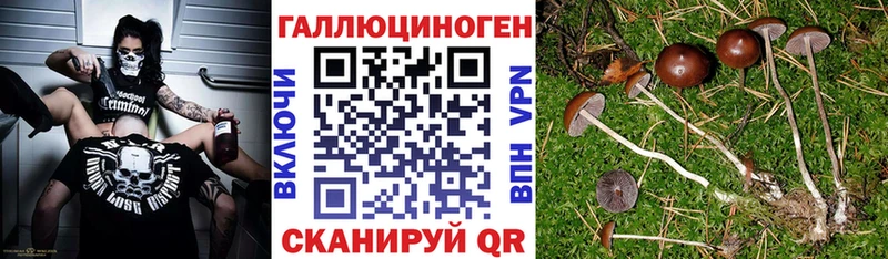 наркота  Островной  Псилоцибиновые грибы MAGIC MUSHROOMS 